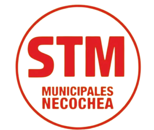 stm-removebg-preview